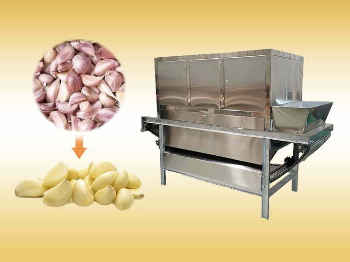 链条式蒜皮脱皮机