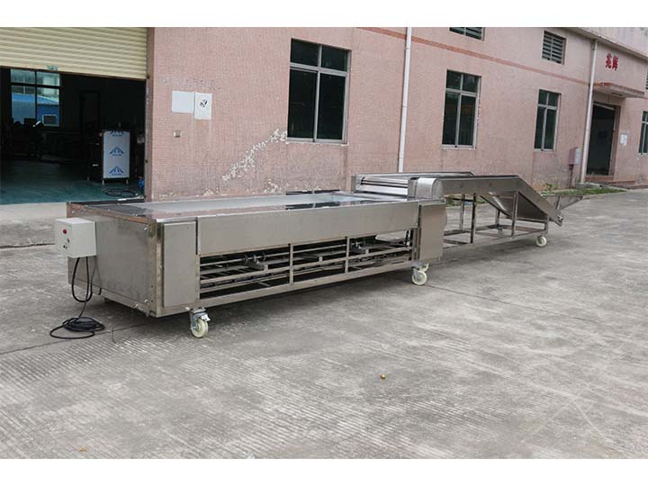 大蒜分级分选机2 圆滚筒大蒜分选机