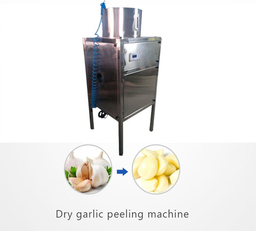 garlic peeling machine price